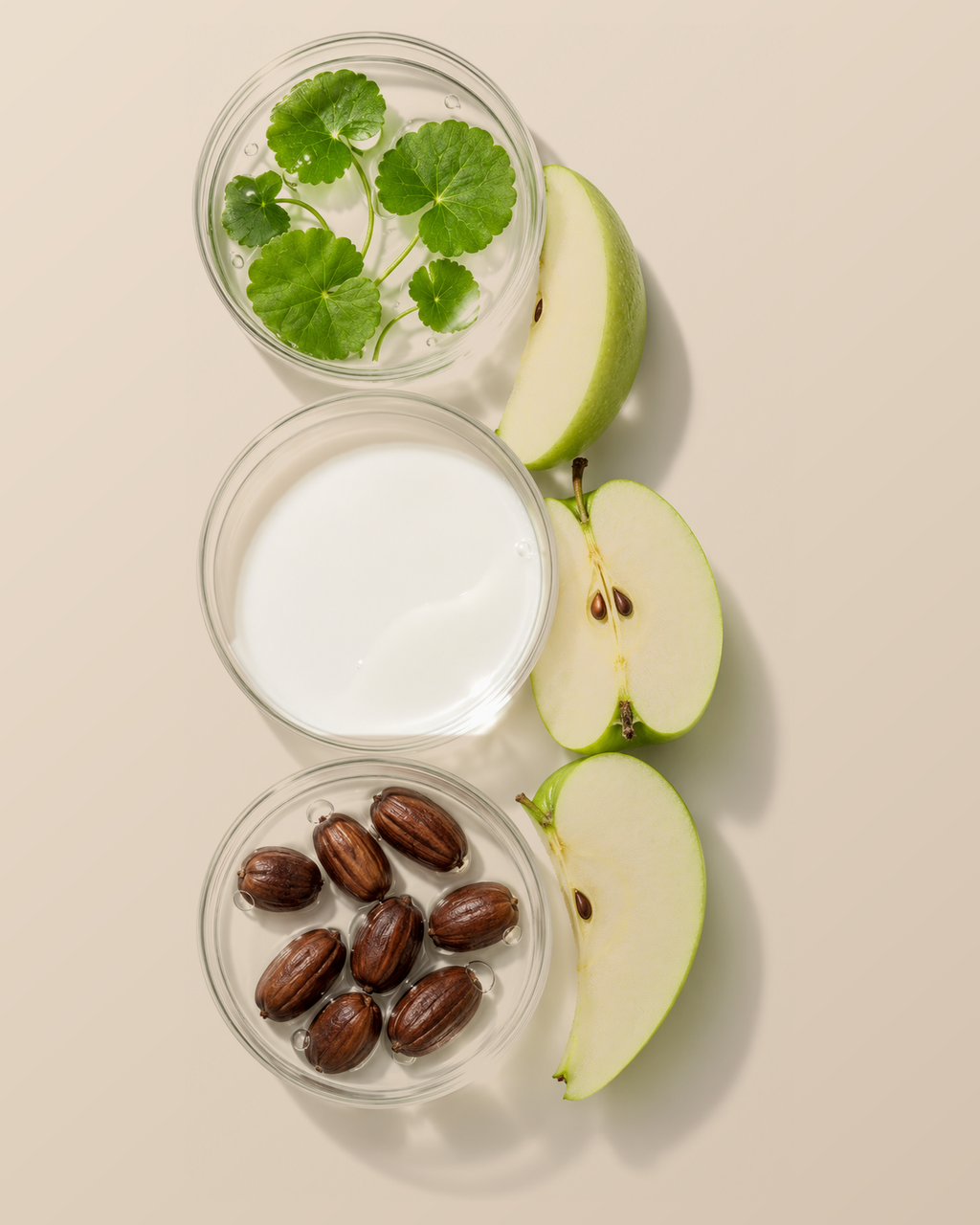 Tuberose & Co. Exosome+ Concentrate styled in a botanical still life